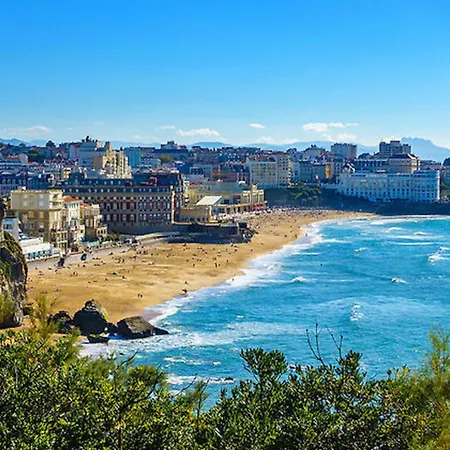 - Les Roses - Balcon Apartman *